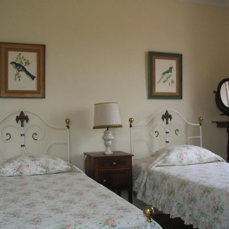 Apartament Casa De Sao Joao Viana do Castelo Zewnętrze zdjęcie